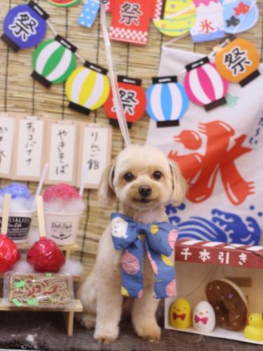 20240714ちゃいろくん